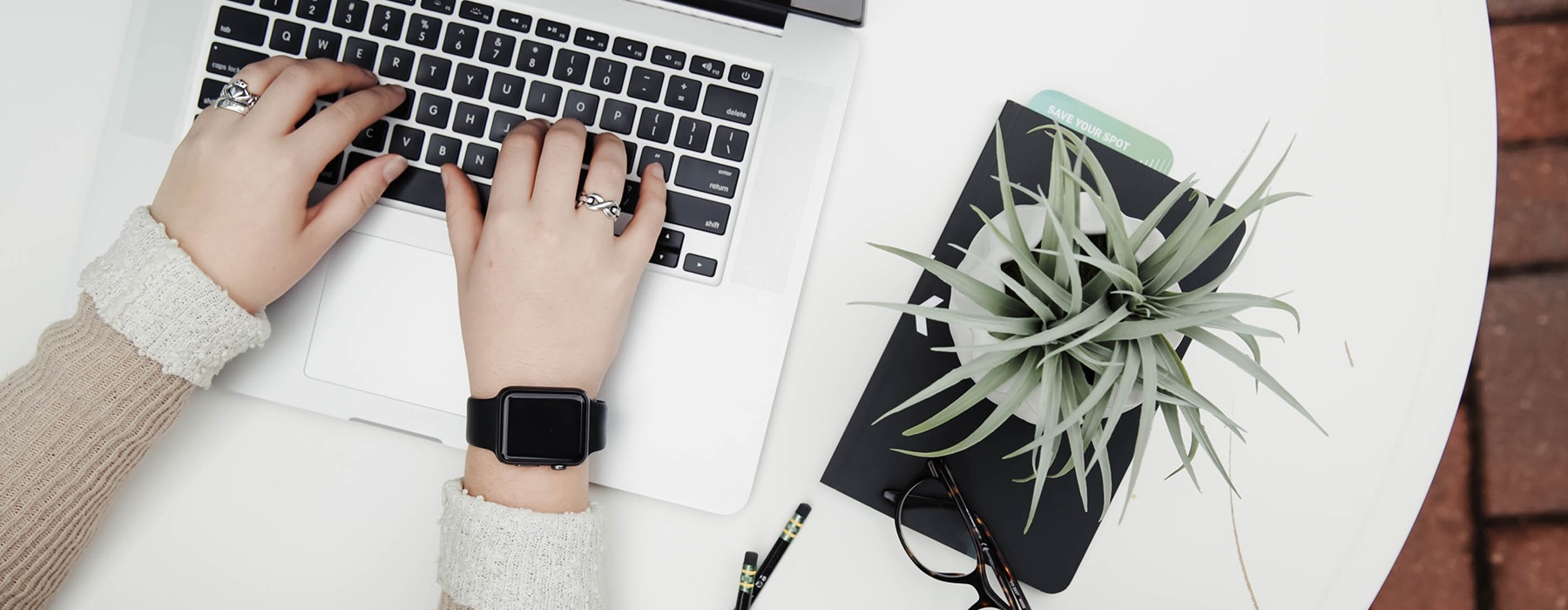 lifestyle image of young hands typing on a laptop beside a small plant